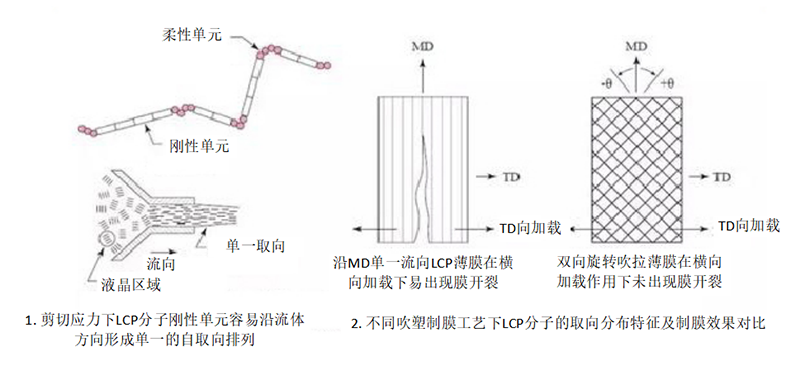 LCP分子流动特性及排列方向对薄膜成型工艺影响示意图