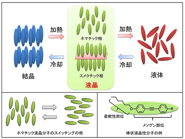 液晶聚合物(LCP)分子结构示意